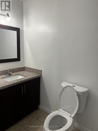 #Main - 3453 Oakglade Crescent, Mississauga (Erindale), ON - Indoor Photo Showing Bathroom