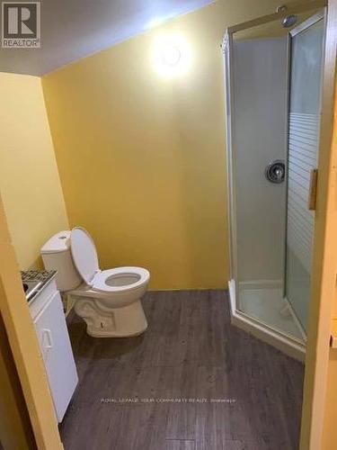 17 Second Street, Georgina, ON - Indoor Photo Showing Bathroom