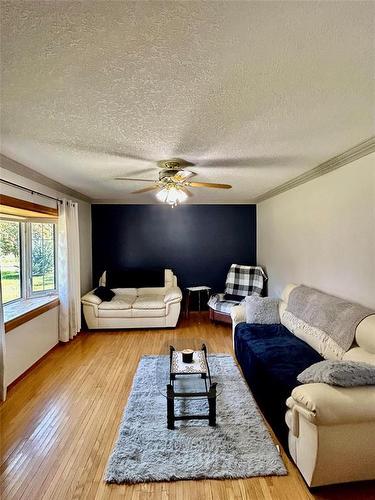 710 Thomas Drive, Virden, MB - Indoor Photo Showing Living Room