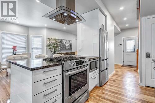 4563 Ryerson Crescent, Niagara Falls (Downtown), ON - Indoor Photo Showing Kitchen With Upgraded Kitchen