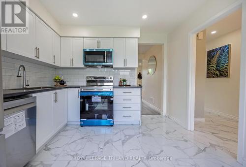 53 - 135 Belmont Drive, London, ON - Indoor Photo Showing Kitchen