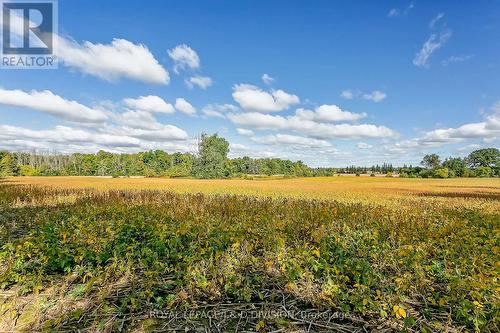 523 Mines Road, Haldimand, ON 