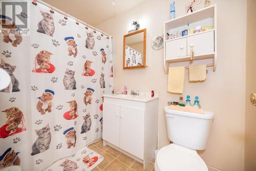 4 Faraday Crescent, Deep River, ON - Indoor Photo Showing Bathroom