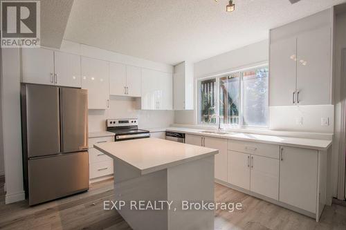 201 Garden Avenue, Georgina (Keswick North), ON - Indoor Photo Showing Kitchen With Double Sink