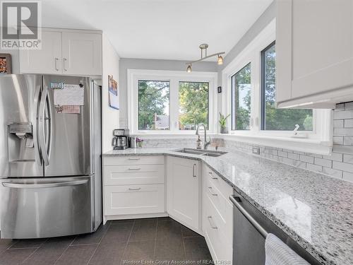 840 Janisse Drive, Windsor, ON - Indoor Photo Showing Kitchen With Double Sink