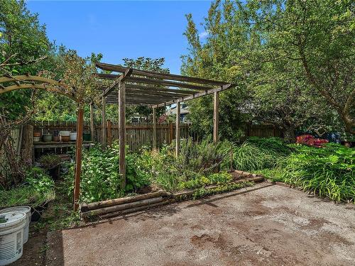 2538 Fernwood Rd, Victoria, BC - Outdoor