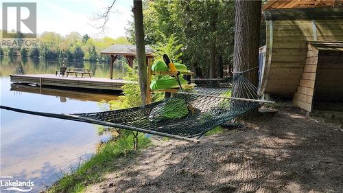 Relax on a beautiful day in this Hammock at 285 Huron Trail - 285 Huron Trail, Port Severn, ON - Outdoor