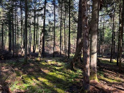 Land/Lot - Ch. Paquin, Val-David, QC 