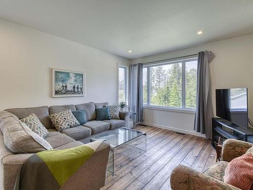 Salon - 164 Rue Grandmaison, Mont-Blanc, QC - Indoor Photo Showing Living Room