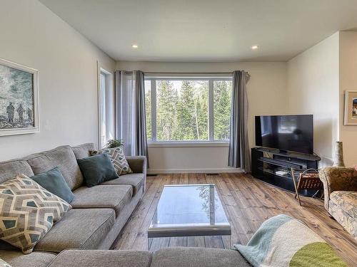 Salon - 164 Rue Grandmaison, Mont-Blanc, QC - Indoor Photo Showing Living Room