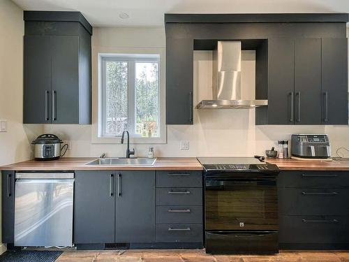 Kitchen - 164 Rue Grandmaison, Mont-Blanc, QC - Indoor Photo Showing Kitchen