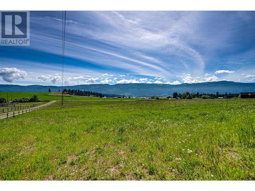 4851 Lansdowne Road, Armstrong, BC - Outdoor With View