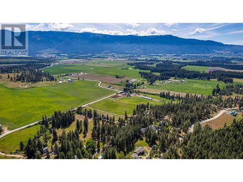 4851 Lansdowne Road, Armstrong, BC - Outdoor With View