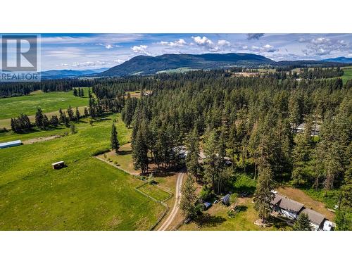 4851 Lansdowne Road, Armstrong, BC - Outdoor With View