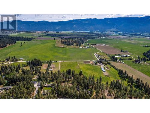 4851 Lansdowne Road, Armstrong, BC - Outdoor With View