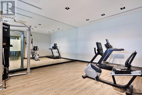307 - 385 Osler Street, Toronto, ON - Indoor Photo Showing Gym Room