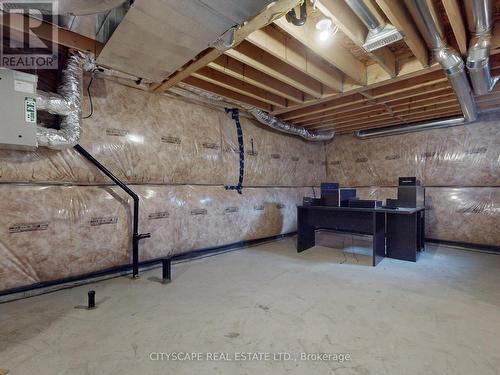 146 Cactus Crescent E, Hamilton, ON - Indoor Photo Showing Basement