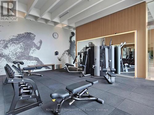 908 - 5 Soudan Avenue, Toronto, ON - Indoor Photo Showing Gym Room