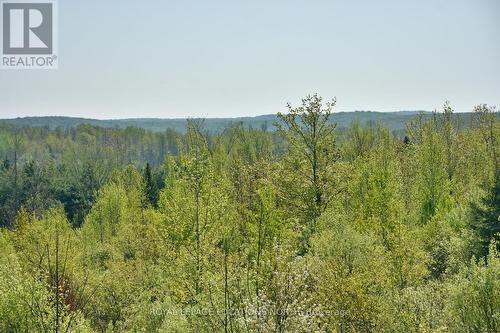 355310 Blue Mountains Euphrasia Line W, Grey Highlands, ON - Outdoor With View