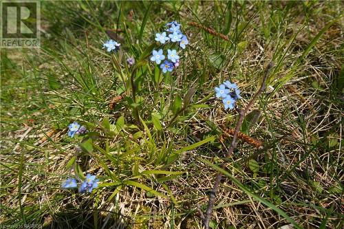 Part Lot 5 Whiskey Harbour Road, North Bruce Peninsula, ON 