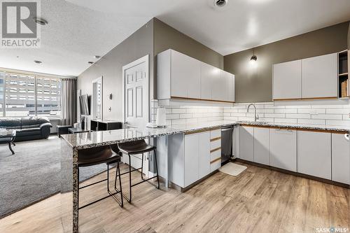 404 1867 Hamilton Street, Regina, SK - Indoor Photo Showing Kitchen With Double Sink With Upgraded Kitchen