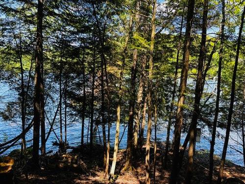 Bord de l'eau - Rue Harrisson, Mont-Tremblant, QC 