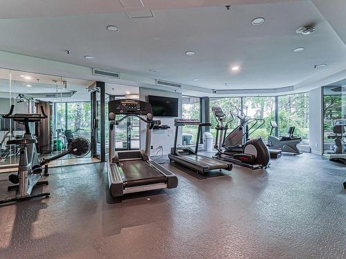 Exercise room - 310-1200 Ch. Du Golf, Montréal (Verdun/Île-Des-Soeurs), QC - Indoor Photo Showing Gym Room