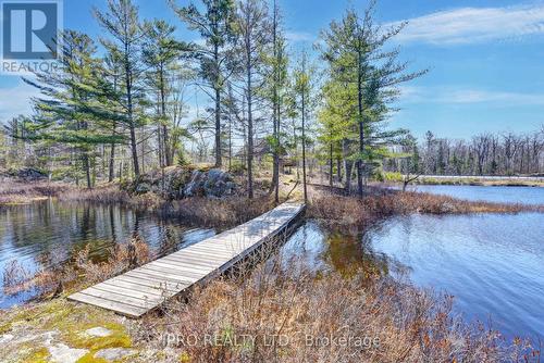 794 Highway 518, Seguin, ON - Outdoor With Body Of Water With View