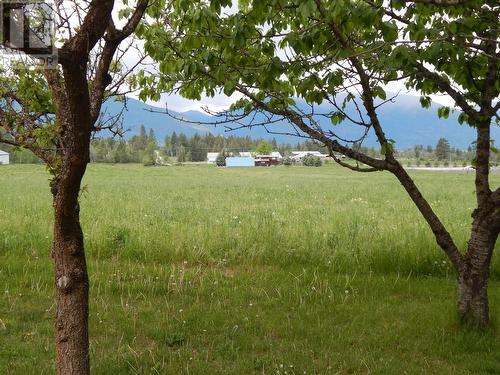 3635 Phillips Road, Creston, BC - Outdoor With View