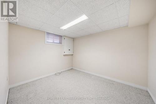 19 Dorian Place, Vaughan, ON - Indoor Photo Showing Basement
