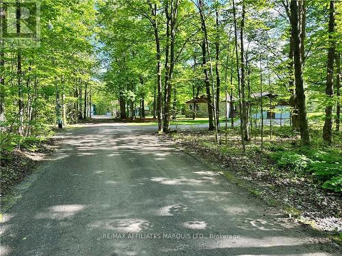 18700 County Road 24 Road, North Glengarry, ON - Outdoor With View