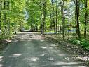 18700 County Road 24 Road, North Glengarry, ON  - Outdoor With View 