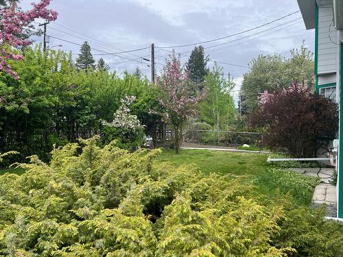 232 14Th Avenue S, Cranbrook, BC - Outdoor