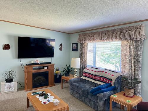 16 - 1500 Neimi Road, Christina Lake, BC - Indoor Photo Showing Living Room With Fireplace