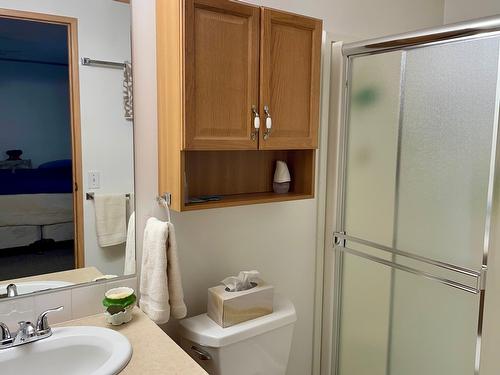 16 - 1500 Neimi Road, Christina Lake, BC - Indoor Photo Showing Bathroom