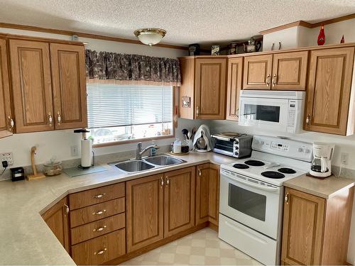 16 - 1500 Neimi Road, Christina Lake, BC - Indoor Photo Showing Kitchen With Double Sink