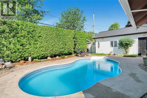 3291 Maisonneuve, Windsor, ON - Outdoor With In Ground Pool With Backyard