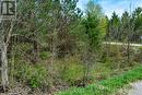 Con 3 Egr Pt Lot 63 Pcl 4 Concession, Chatsworth, ON 