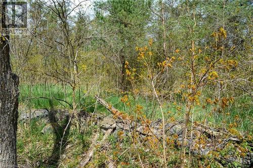 Con 3 Egr Pt Lot 63 Pcl 3 Concession, Chatsworth, ON 