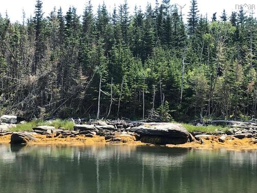 Lot 13 59 Quoddy Drive, West Quoddy, NS 