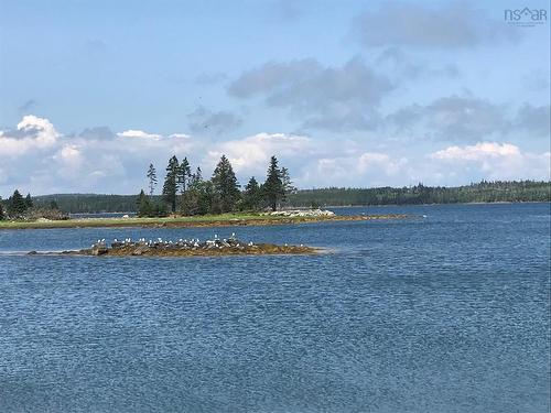 Lot 13 59 Quoddy Drive, West Quoddy, NS 