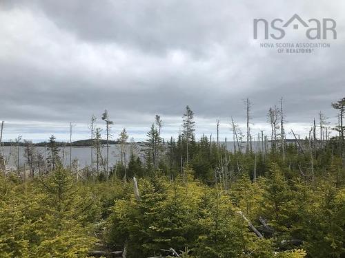 Lot 13 59 Quoddy Drive, West Quoddy, NS 