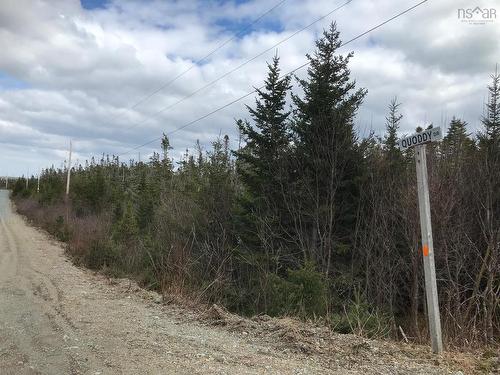 Lot 13 59 Quoddy Drive, West Quoddy, NS 