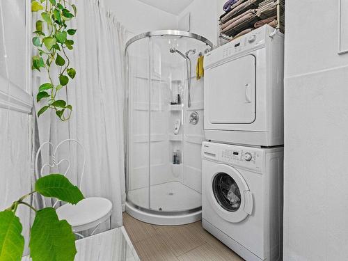 Bathroom - 2038 Rue Davidson, Montréal (Mercier/Hochelaga-Maisonneuve), QC - Indoor Photo Showing Laundry Room
