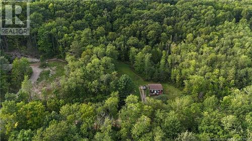 200 West Tennants Cove Road, Lower Kars, NB - Outdoor With View