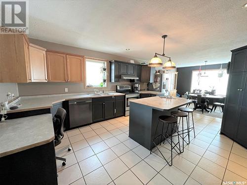 540 5Th Avenue, Hudson Bay, SK - Indoor Photo Showing Kitchen With Double Sink