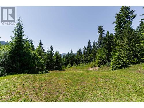 4625 Crescent View  Drive, Nelson, BC - Outdoor