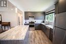 40 Birch Cres Crescent, Temagami, ON  - Indoor Photo Showing Kitchen With Double Sink 