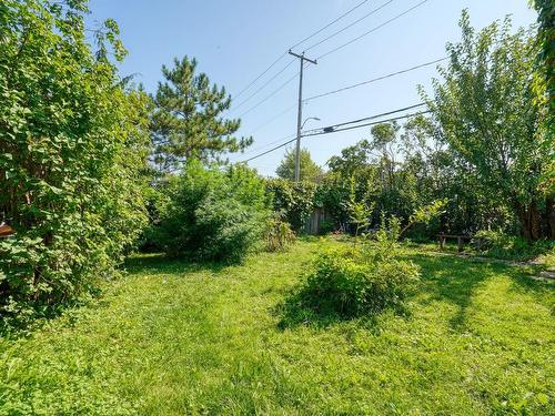 Backyard - 3984 Grand Boulevard, Longueuil (Saint-Hubert), QC - Outdoor