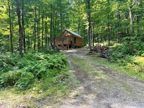 Frontage - 48Ez Ch. Des Limites, Saint-Fabien-De-Panet, QC - Outdoor